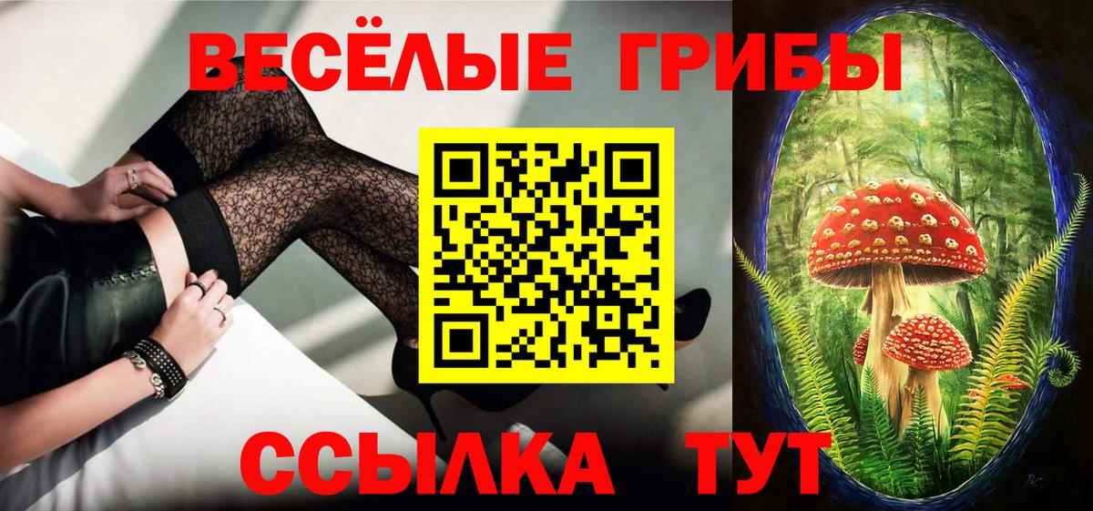 Минусинск  Галлюциногенные грибы Cubensis  Вход с VPN  Псилоцибиновые грибы MAGIC MUSHROOMS 